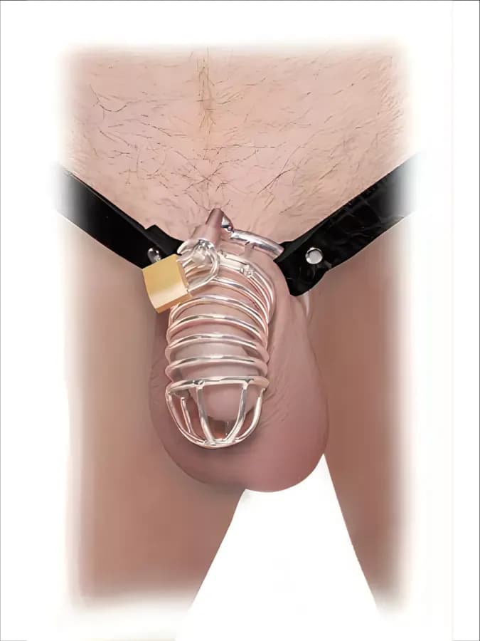 Пояс верности Fetish Fantasy Chastity Belt — фото 2