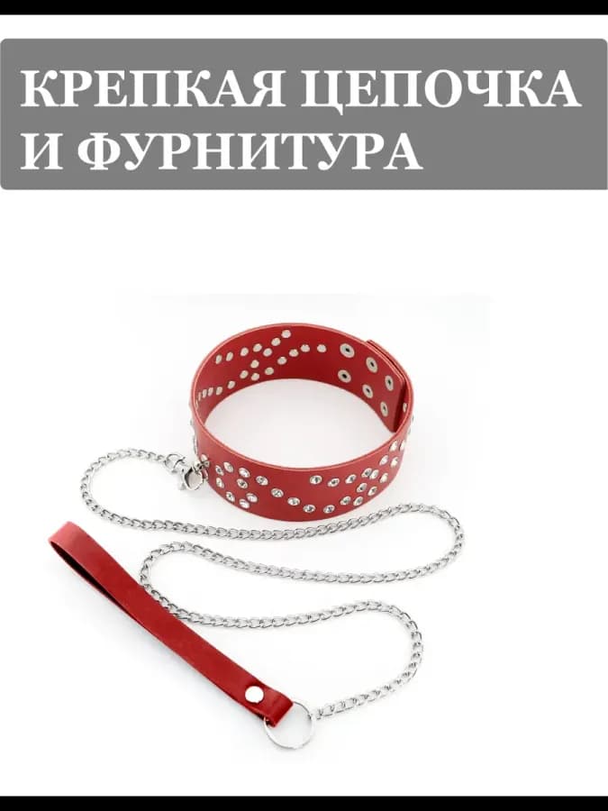Ошейник бдсм с поводком для секса — фото 5