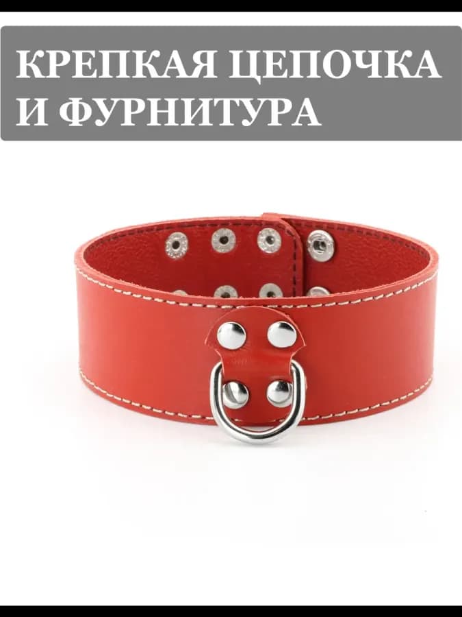 Ошейник бдсм с поводком натуральная кожа — фото 4