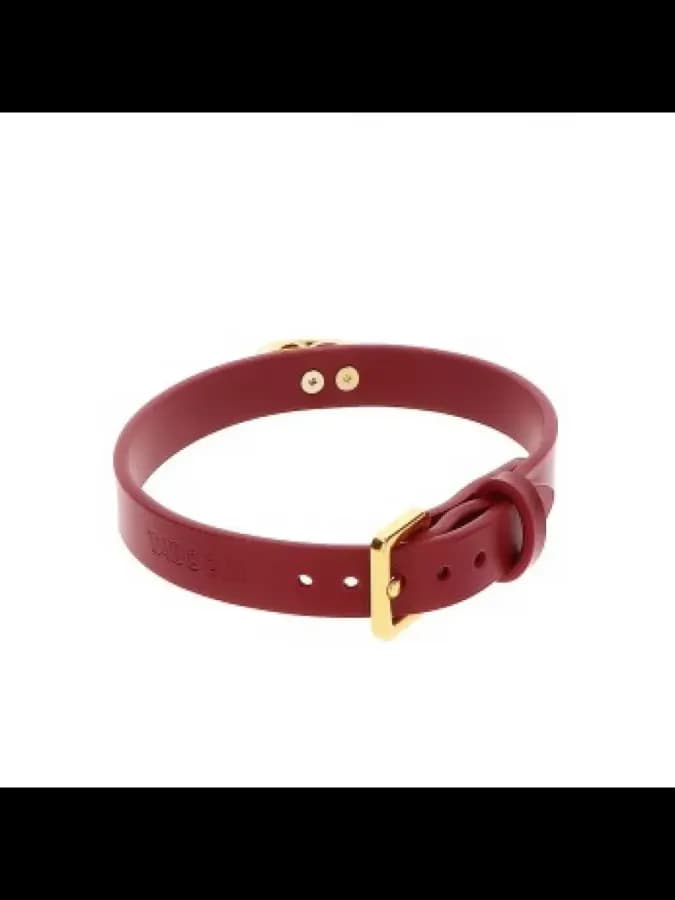 Ошейник-чокер с кольцом O-Ring Collar — фото 4