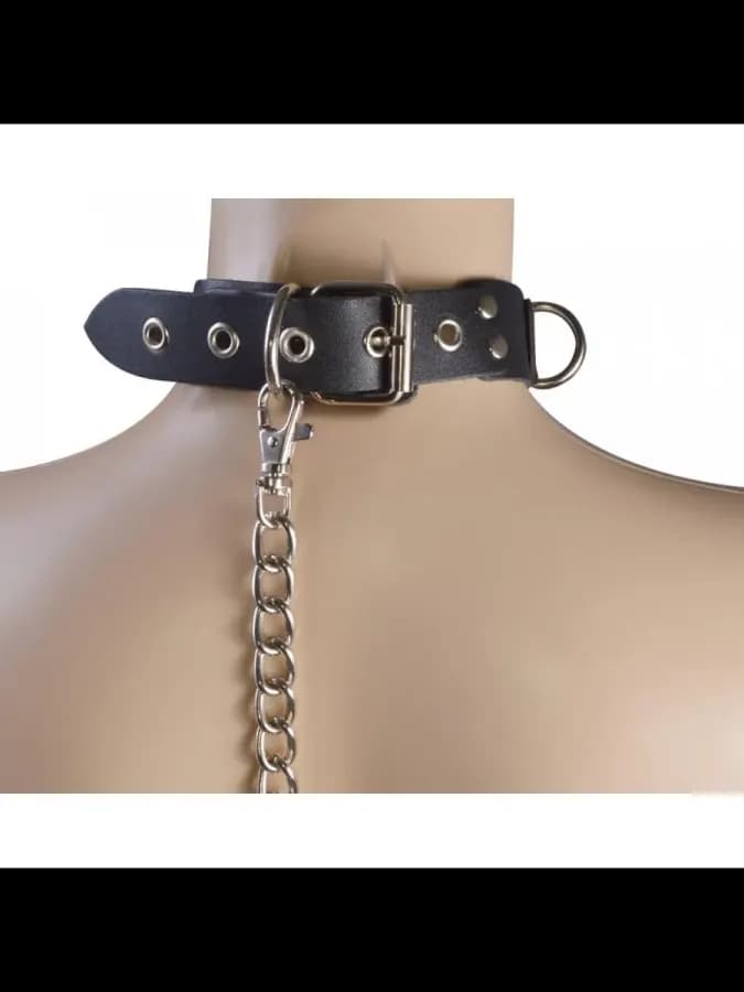 Ошейник с поводком Big Ring — фото 2
