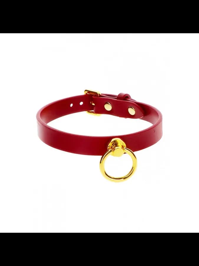 Ошейник-чокер с кольцом O-Ring Collar