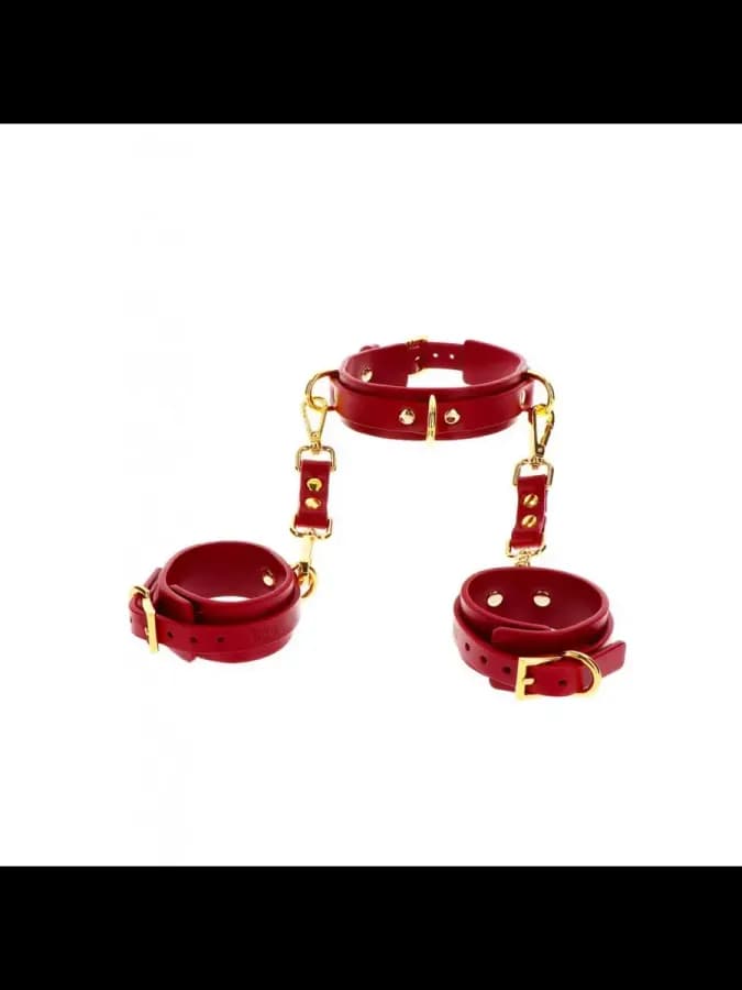 Ошейник и манжеты D-Ring Collar and Wrist Cuffs